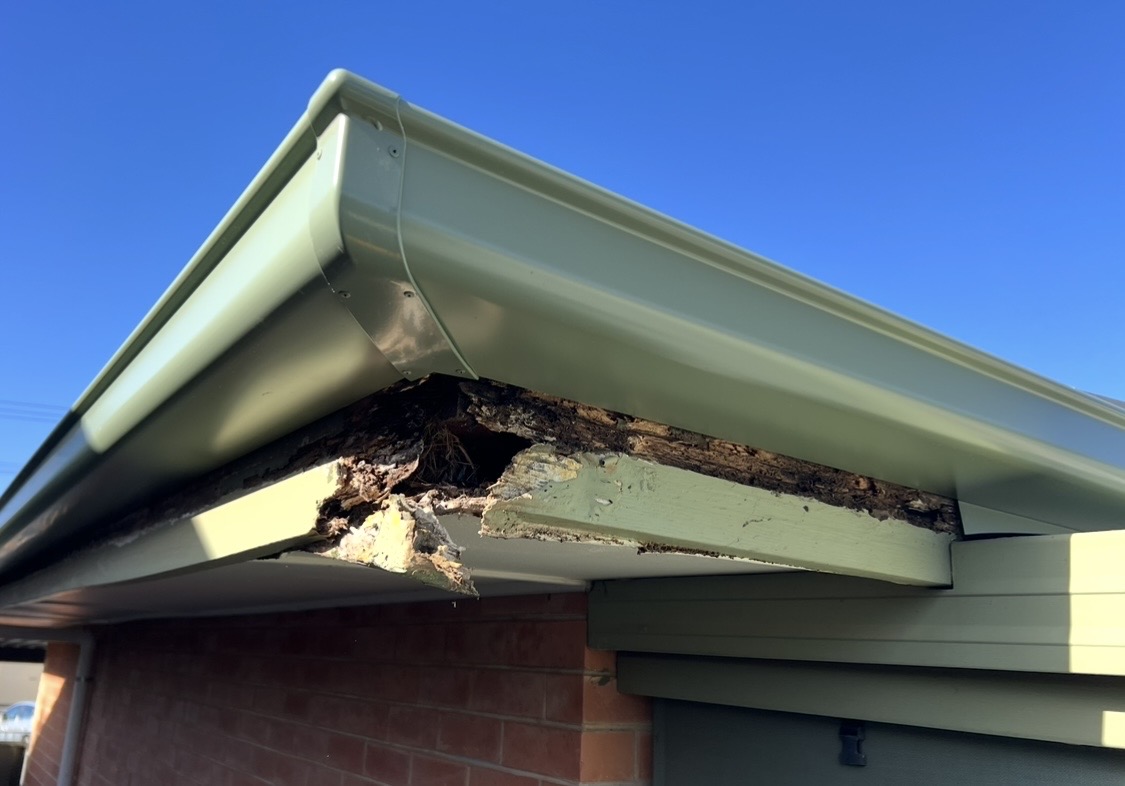 Fascia before