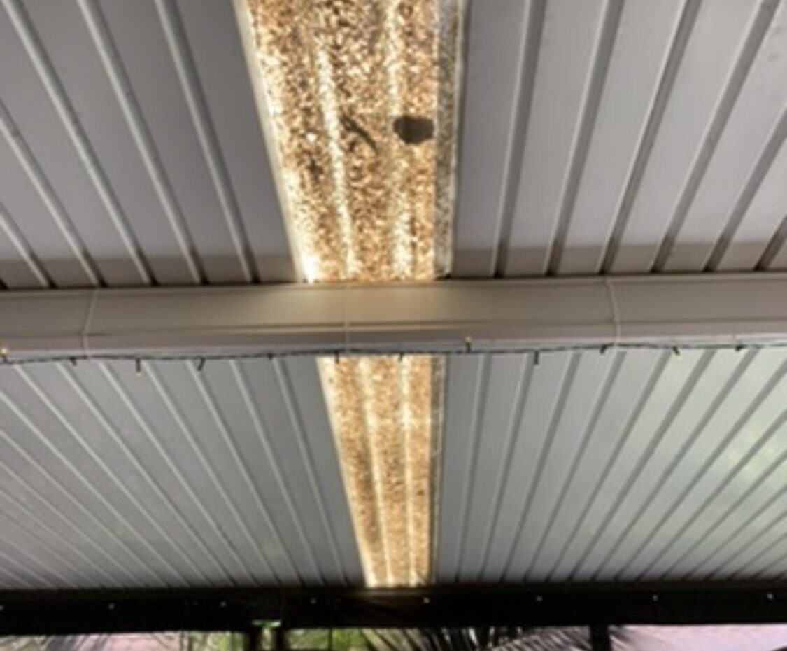 Verandah before